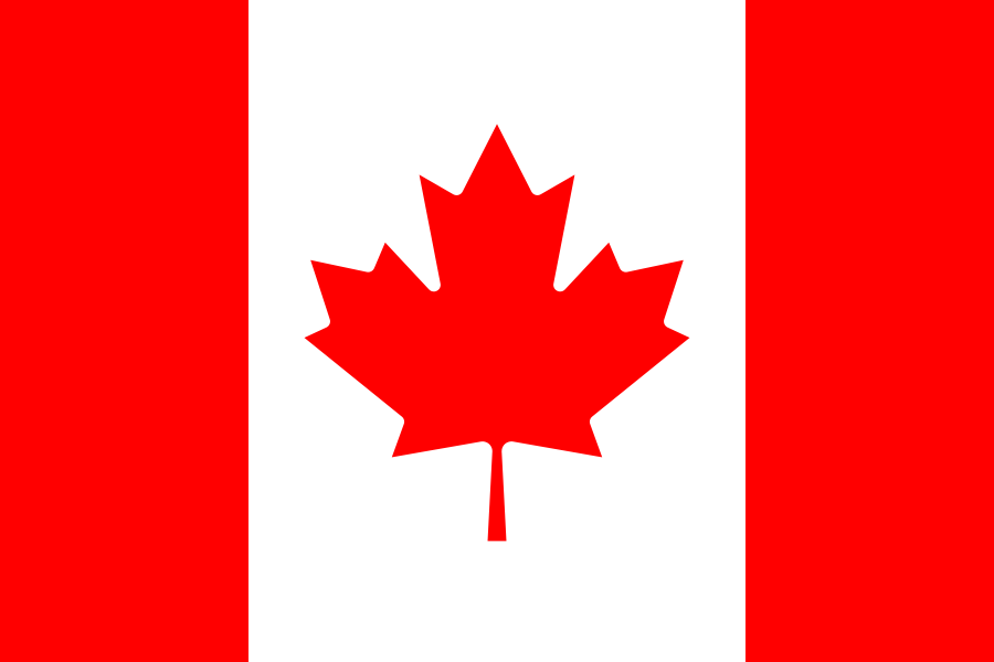 The flag used for CAD